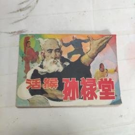 连环画 活猴孙禄堂