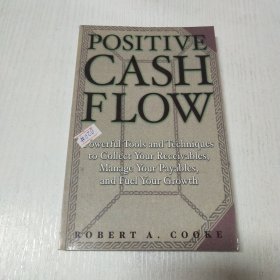 英文原版PositiveCashFlow正现金流