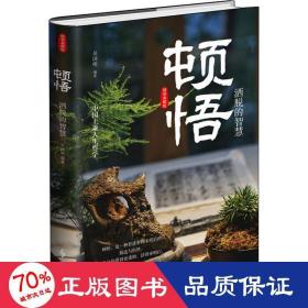 顿悟：洒脱的智慧