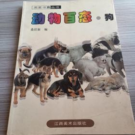 动物百态.狗