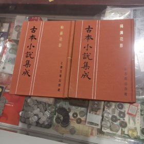 古本小说集成：隔簾花影上下，上海古籍，布面好品