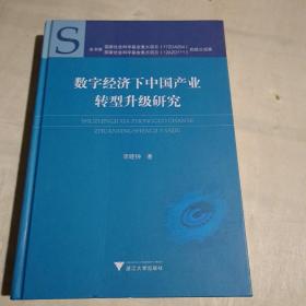 数字经济下中国产业转型升级研究(精)