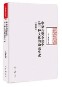 中德合资企业中第三种文化的动态生成/人民日报学术文库