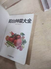 阳台种菜大全