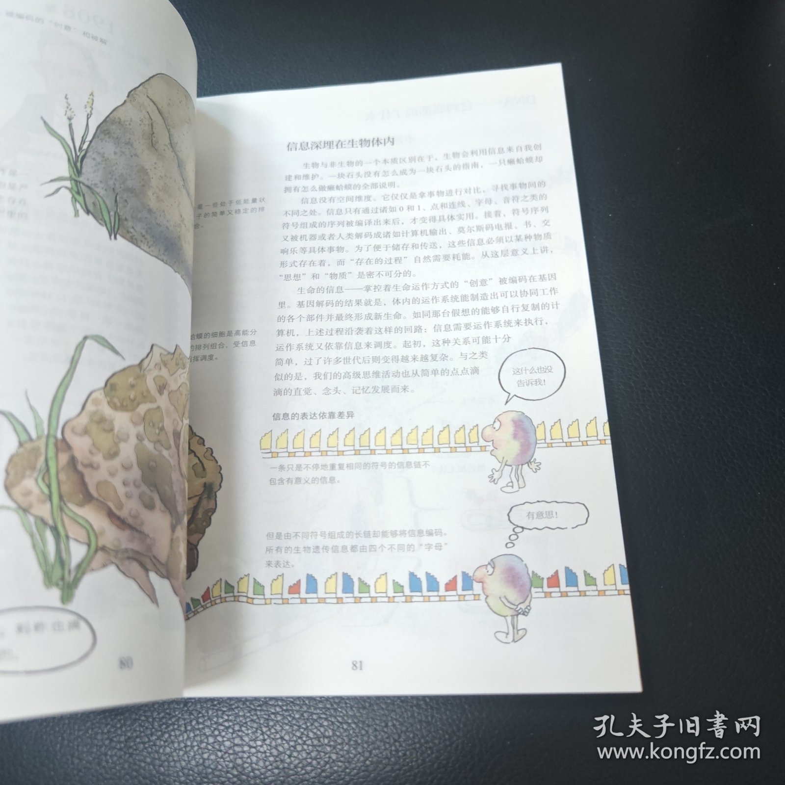 观念生物学