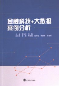 金融科技+大数据案例分析