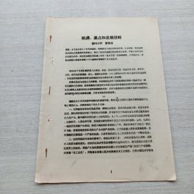 《機(jī)遇、基點(diǎn)和發(fā)展戰(zhàn)略》