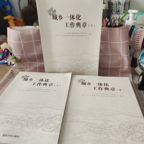 城乡一体化工作典章上中下