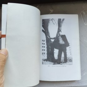 胡风：死人复活的时候（书架A）