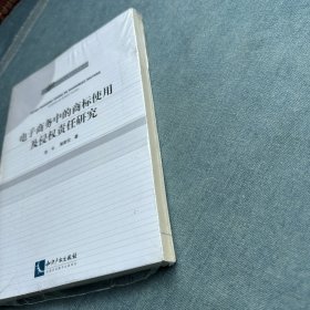 IP知识产权专题研究书系：电子商务中的商标使用及侵权责任研究