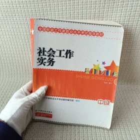 2010全国社会工作者职业水平考试教材：社会工作实务（中级）