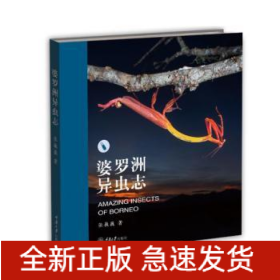 婆罗洲异虫志