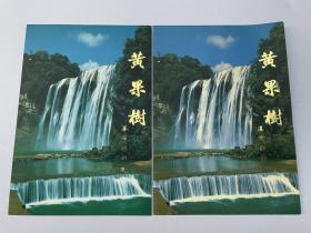 2001-13黄果树瀑布群邮票邮折两本