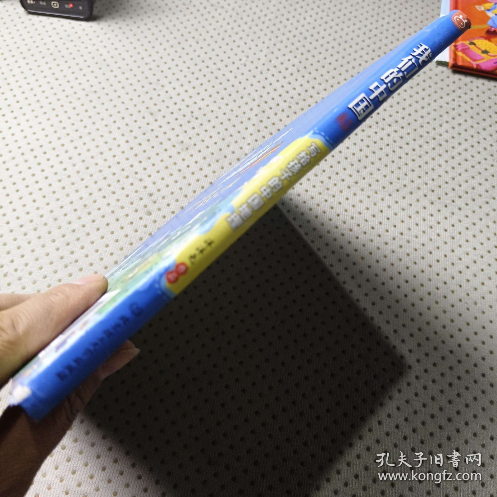 我们的中国——写给孩子的中国地理 手绘版