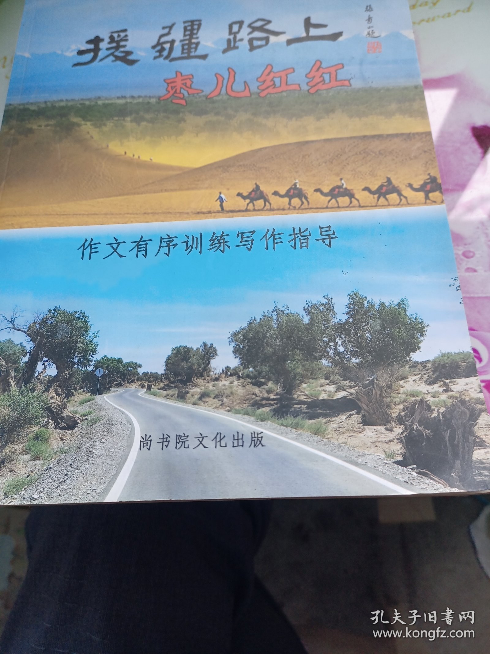 援疆路上枣儿红红(作文有序训练写作指导)