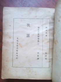 民国旧书：桃园 弱小民族短篇小说集（一）.