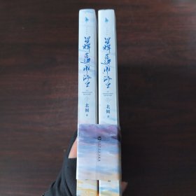 星辉落进风沙里