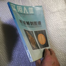 实用人体断面解剖图谱