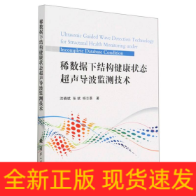 稀数据下结构健康状态超声导波监测技术