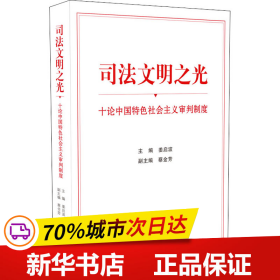 司法文明之光（十论中国特色社会主义审判制度）