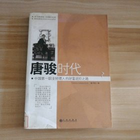 唐骏时代：中国第一职业经理人的财富进阶之路