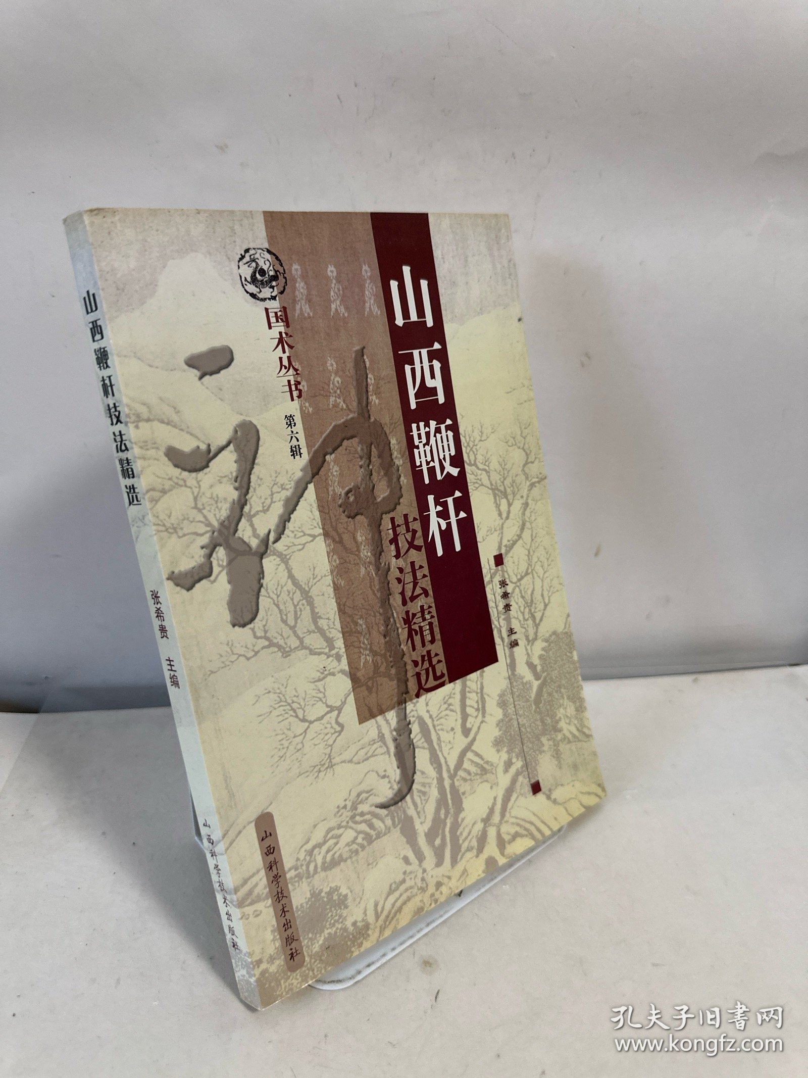 山西鞭杆技法精选