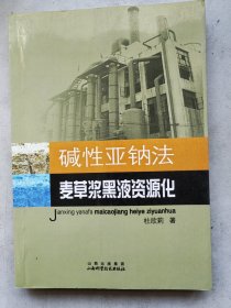 碱性亚钠法麦草浆黑液资源化