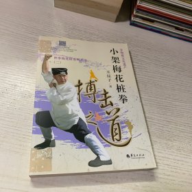 小架梅花桩拳 搏击之道之道 