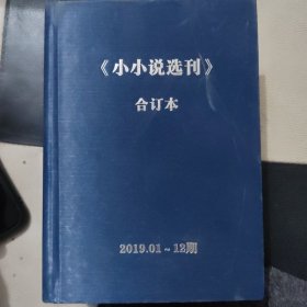 小小说选刊 合订本 2019（1-12期）