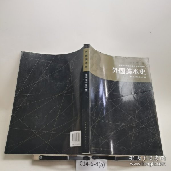 高等美术院校综合理论系列教材：外国美术史