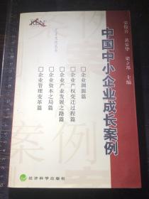 中国中小企业成长案例