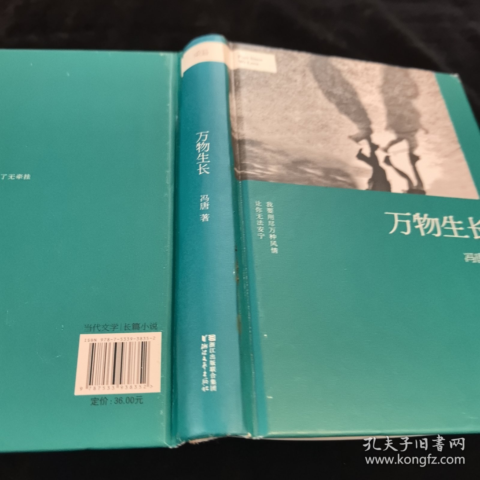 冯唐：万物生长