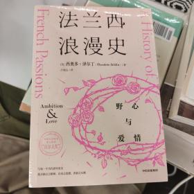 法兰西浪漫史野心与爱情西奥多·泽尔丁著沃尔夫奖作者法国文化入门优质读物