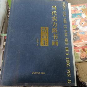 当代实力派书画精品集