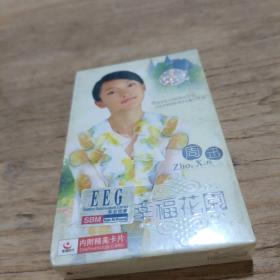磁带 周迅幸福花园