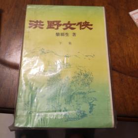 老武侠213：洪野女侠（上下）