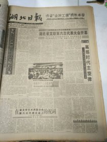 湖北日报1994年12月24日