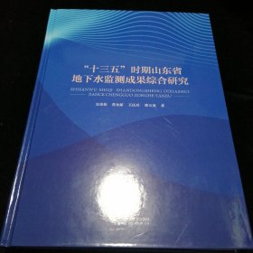 十三五时期山东省地下水监测成果综合研究