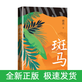 斑马（傅真2022年全新力作，从北京到曼谷，跨越三千二百公里的治愈之旅）