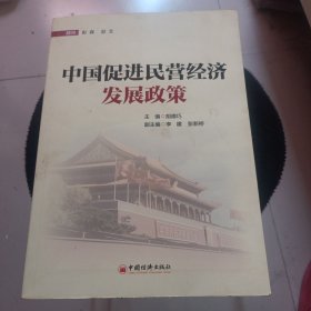 中国促进民营经济发展政策