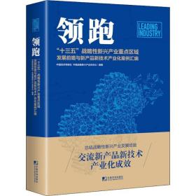 ：“十三五”战略新兴产业重点区域发展前瞻与新产品新技术产业化案例汇编 经济理论、法规 中国经济导报社，中国战略新兴产业杂志社编 新华正版