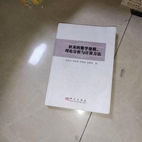 桩基的数学建模、理论分析与计算方法