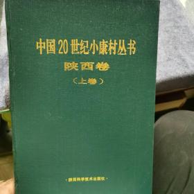 中国20世纪小康丛书陕西卷（上下）