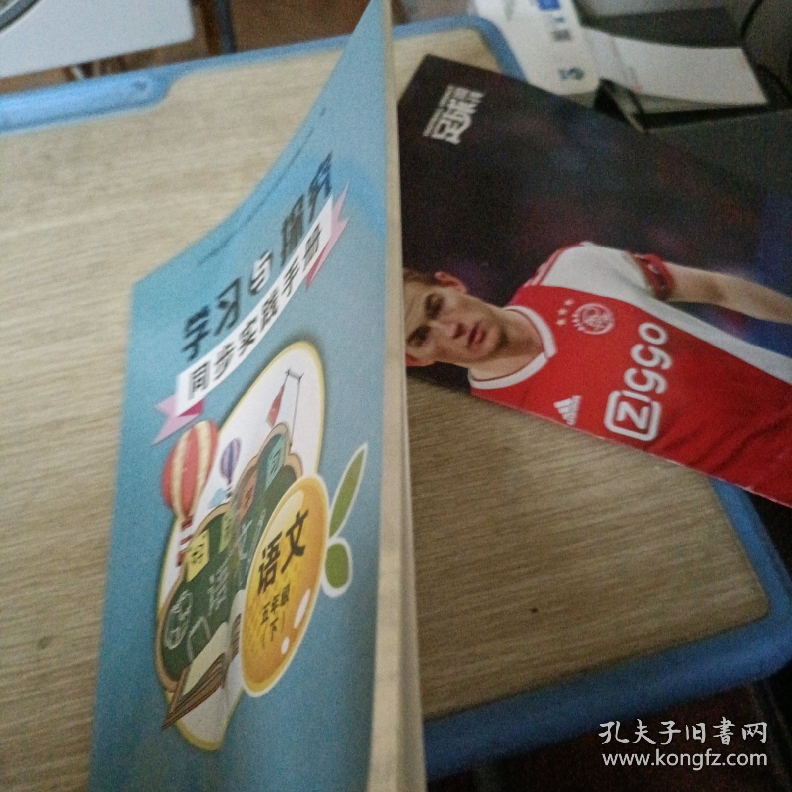 学习与探究 同步实践手册 语文五年级下