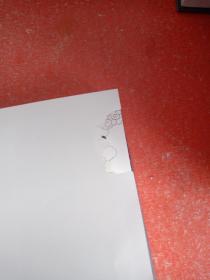 “四神斗三妖”系列之崔老道传奇：三探无底洞(书里衬纸有破损不影响阅读)