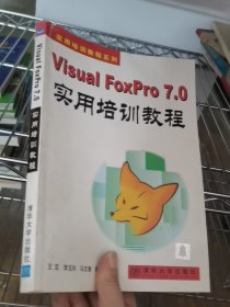 Visual FoxPro 7.0实用培训教程