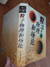 粒子物理和场论