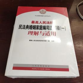 最高人民法院民法典婚姻家庭编司法解释（一）理解与适用