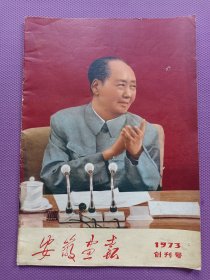 安徽画报 1973年出版 创刊号 全部给图！