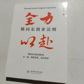 全力以赴 陈向东创业法则